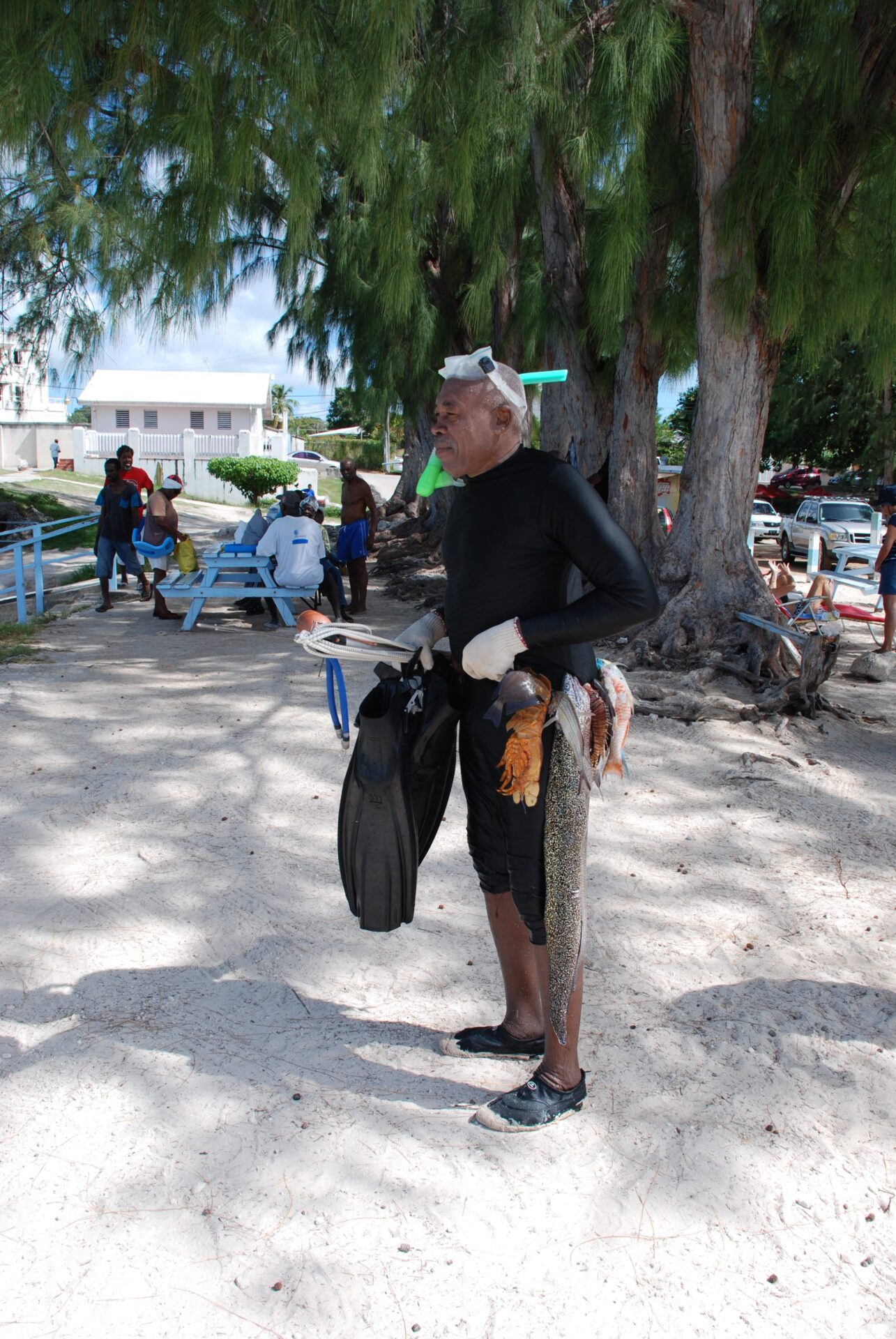 pescatore di Barbados con cinta con attaccati pesci appena pescati