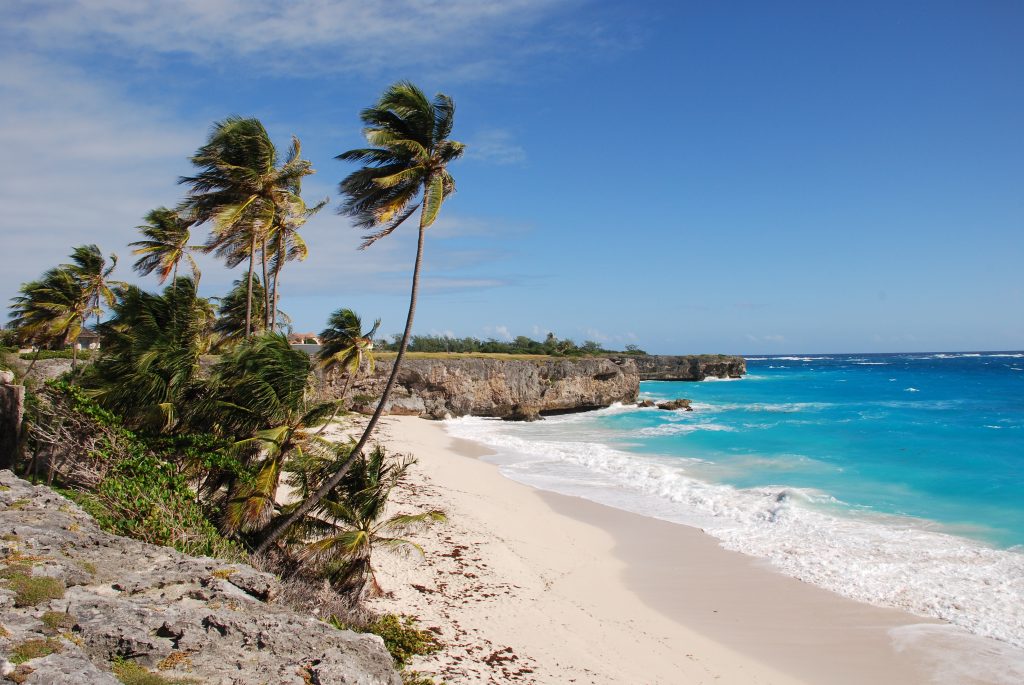 foto della spiaggia di barbados con palme e mare cristallino.